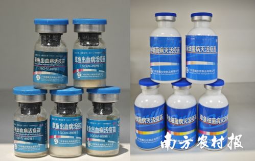 從解決 吃魚難 到助力 養好魚 ,推動中國漁業可持續發展丨記珠江所創立70年