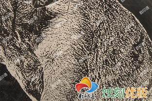 【數(shù)印通pl-90a平板打印機不銹鋼蝕刻掩膜打印機uv打印機標(biāo)牌耐腐蝕層打印機】-